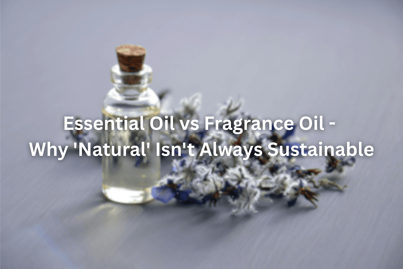 Essential Oil vs Fragrance Oil - Why 'Natural' Isn't Always Sustainable