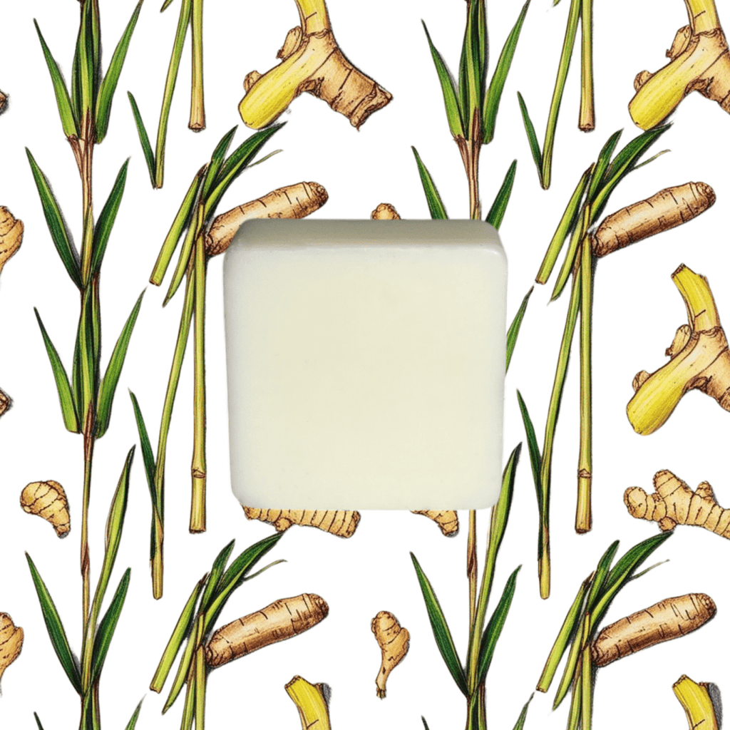 Lemongrass & Ginger - Wax Melts 65g - Wax Melts - Souvant Fragrance Co
