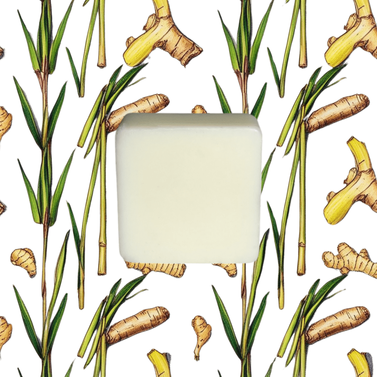 Lemongrass & Ginger - Wax Melts 65g - Wax Melts - Souvant Fragrance Co