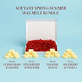 The Spring Summer Bundle - Wax Melts - Wax Melts - Souvant Fragrance Co